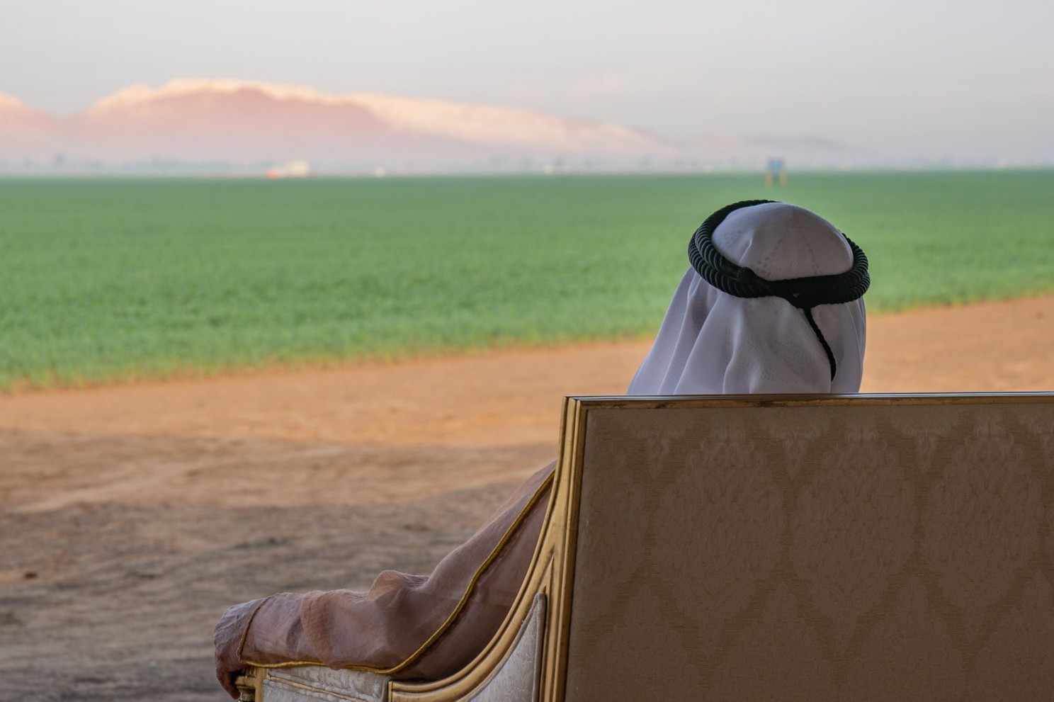 Wheat Production Across 400 Hectares in the United Arab Emirates