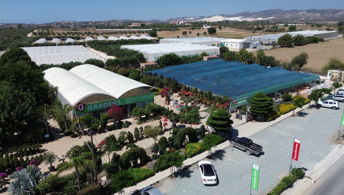 Fertirriego en vivero de plantas