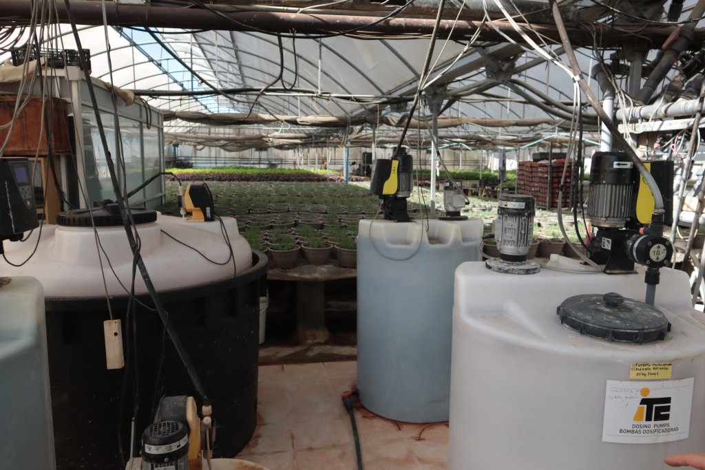 Fertirrigación en producción de plantas ornamentales