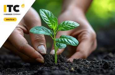 agriculture-day-2025_ITC