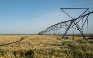 Fertigation and calibration in pivots and laterals