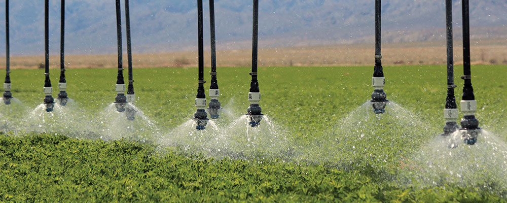 [LANDING] Fertirrigación eficiente en pívots y laterales