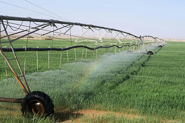 [LANDING SEO] Pivots de riego para fertirrigación: máxima eficiencia en cada gota